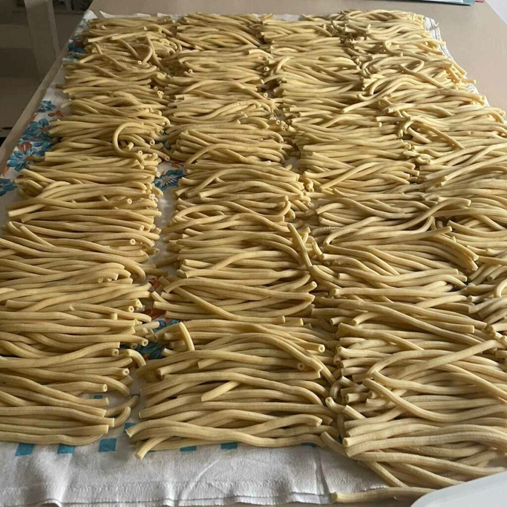 Pipiriolos di Montresta pronti per la vendita